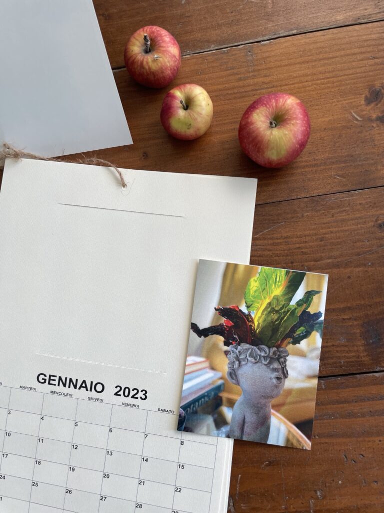 Il calendario di Taffeta Seasons Boutique
