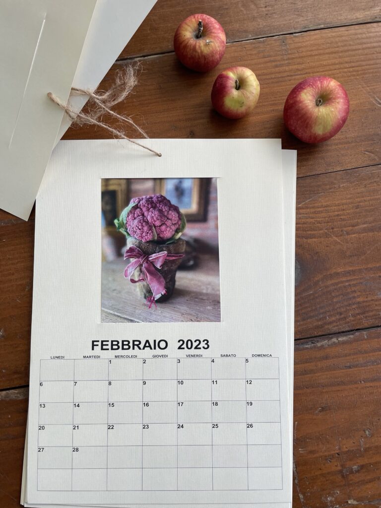 Il calendario di Taffeta Seasons Boutique