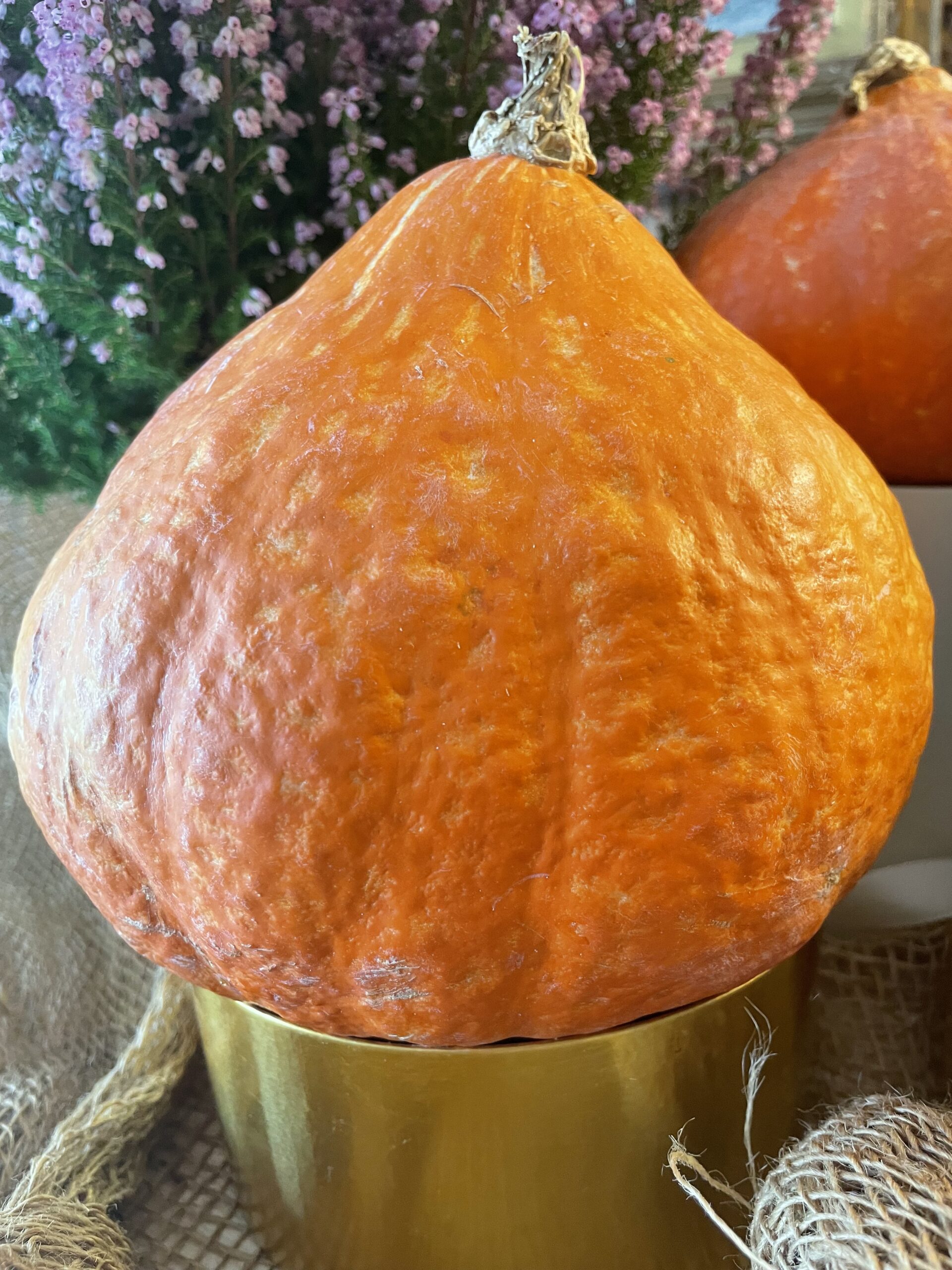 La zucca è un frutto
