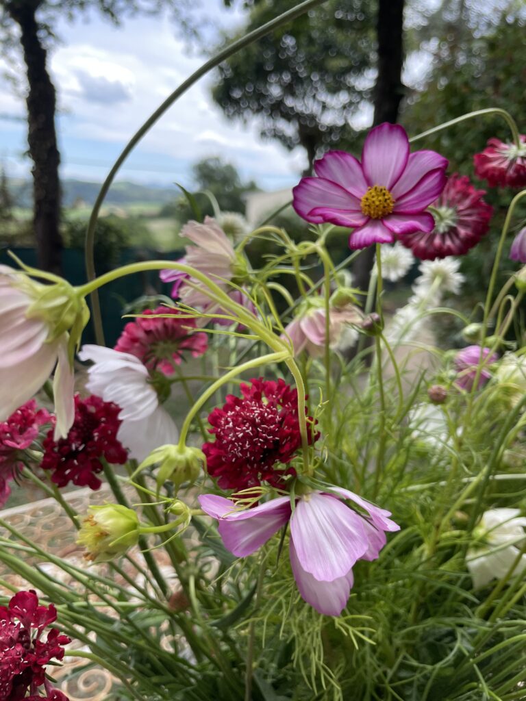 Giugno “En plein air”