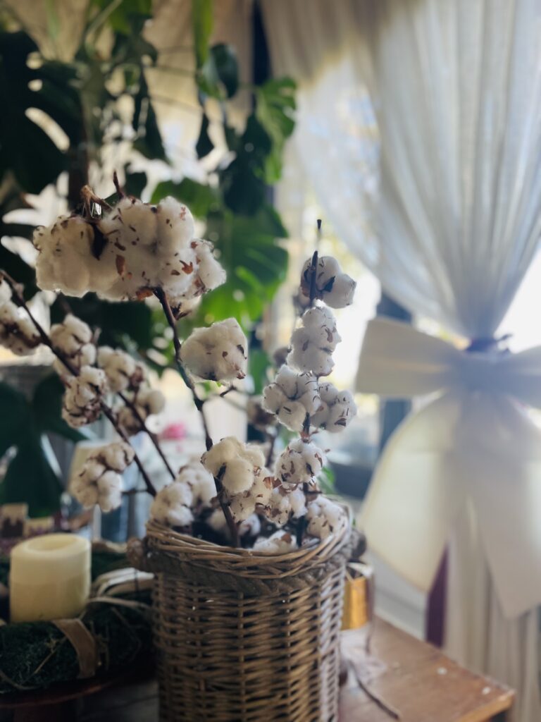 L’eleganza del Gossypium
